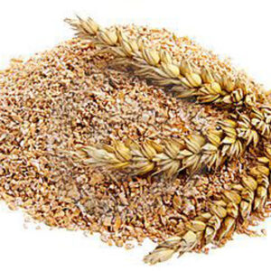 Bran Bedding & Mealworm Food