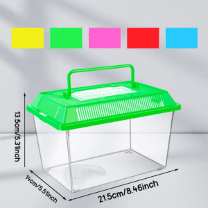 Mealtime Mealworms Terrarium